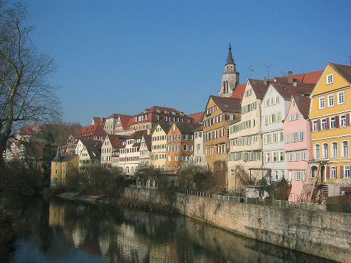 Sample of tubingen image